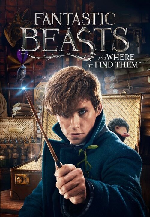 Fantastic Beasts and Where to Find Them (2016)